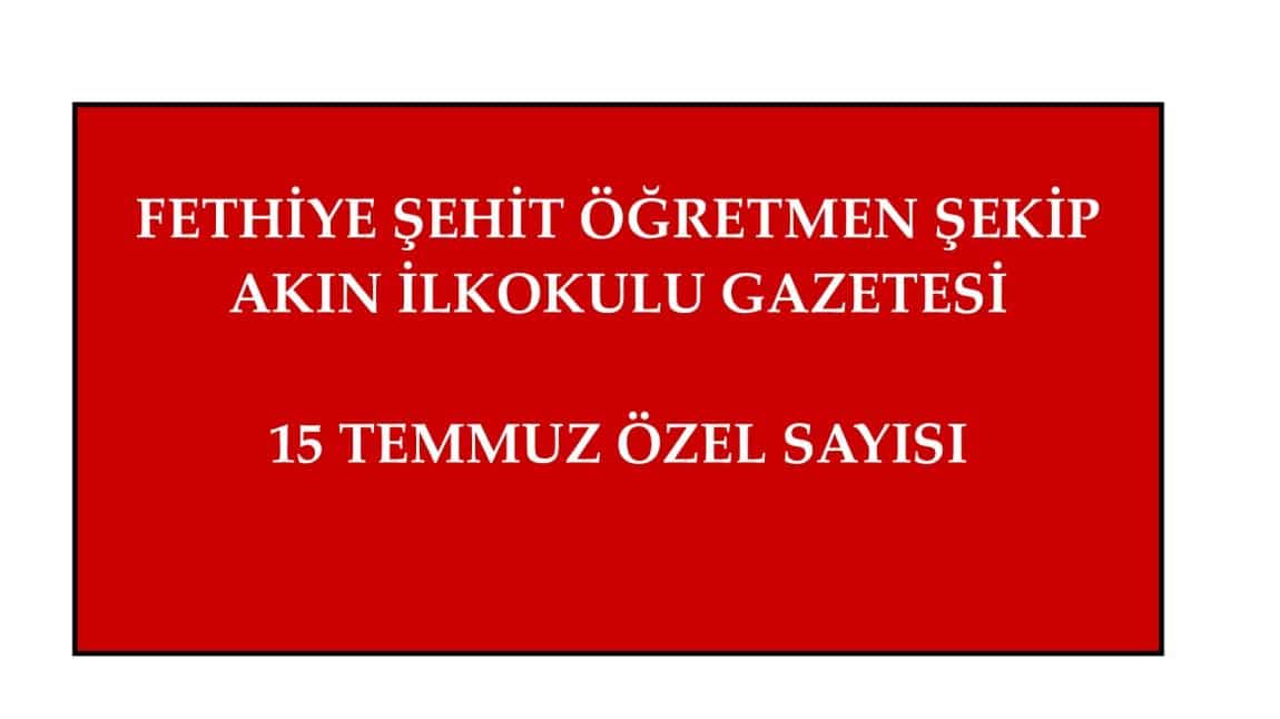 15 TEMMUZ ÖZEL SAYISI